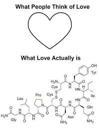 Facts about love scientific Sad Scientific